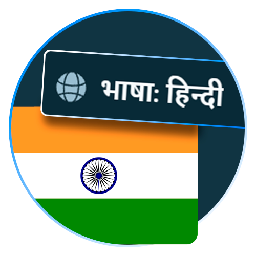 Navigate Stake using the official Hindi interface.