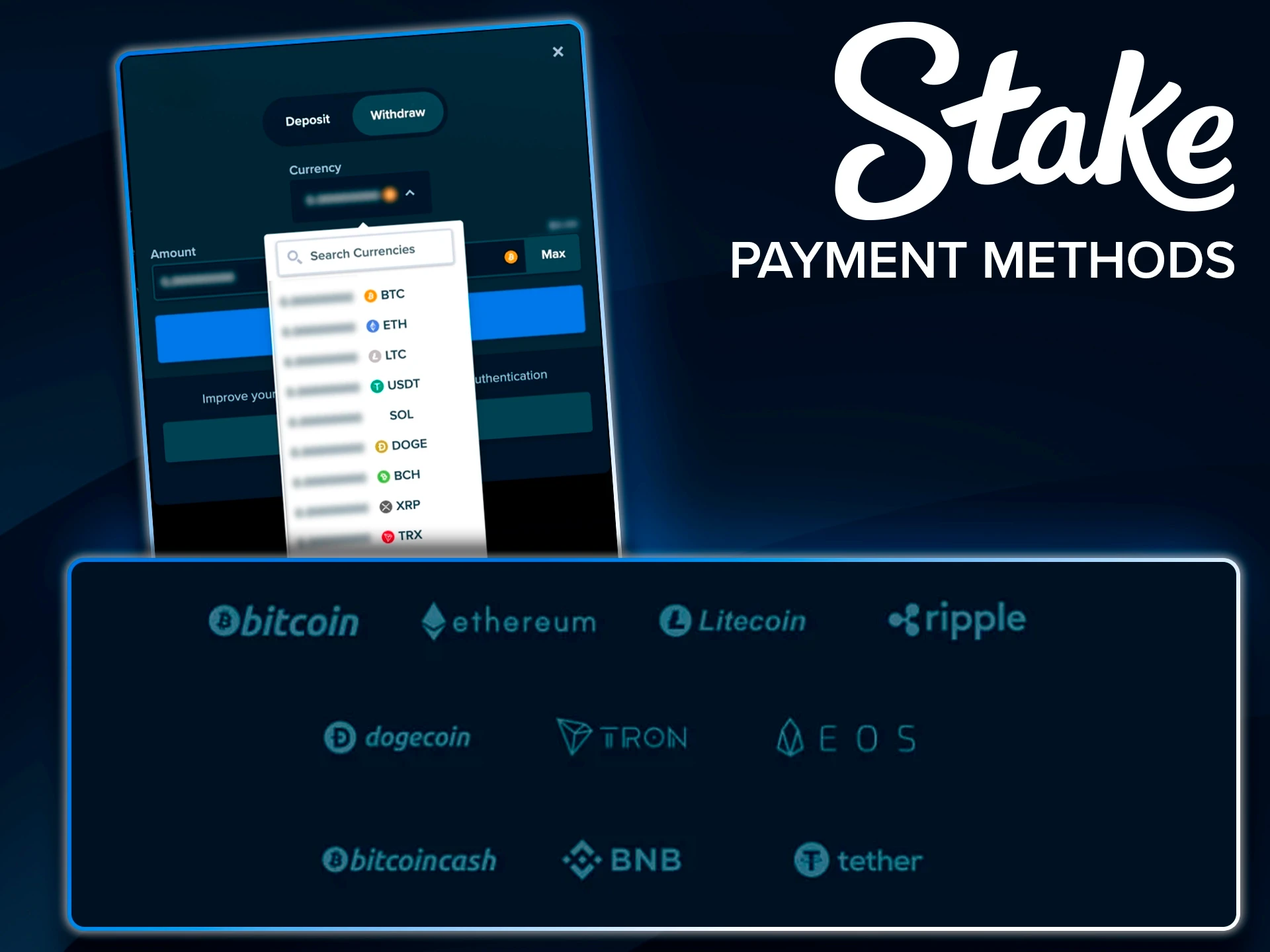 Manage your funds with trusted payment options on Stake.