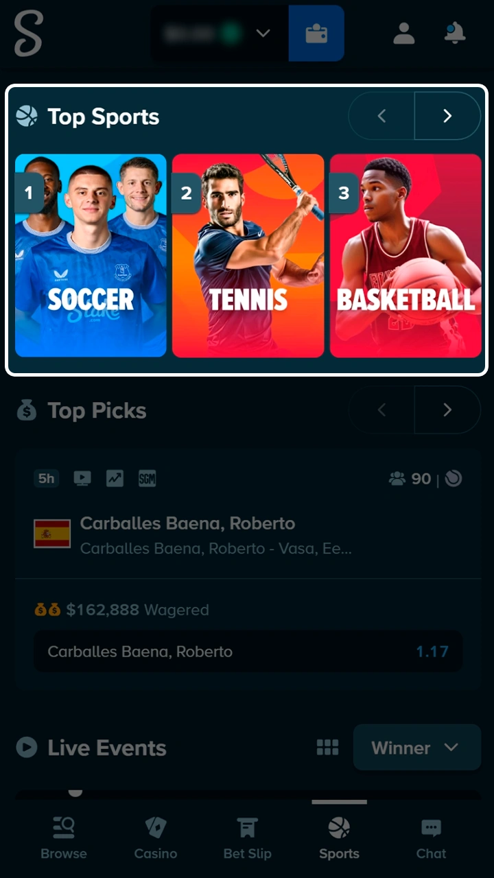 Select your favorite sports discipline on the Stake sportsbook.