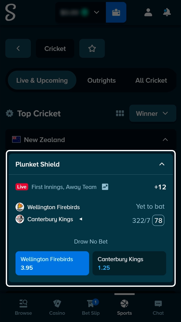 Choose a winning outcome for your bet at Stake.