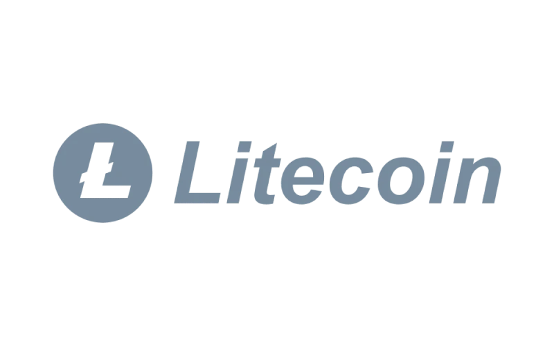 Litecoin is featured on Stake for secure payment transactions for players.