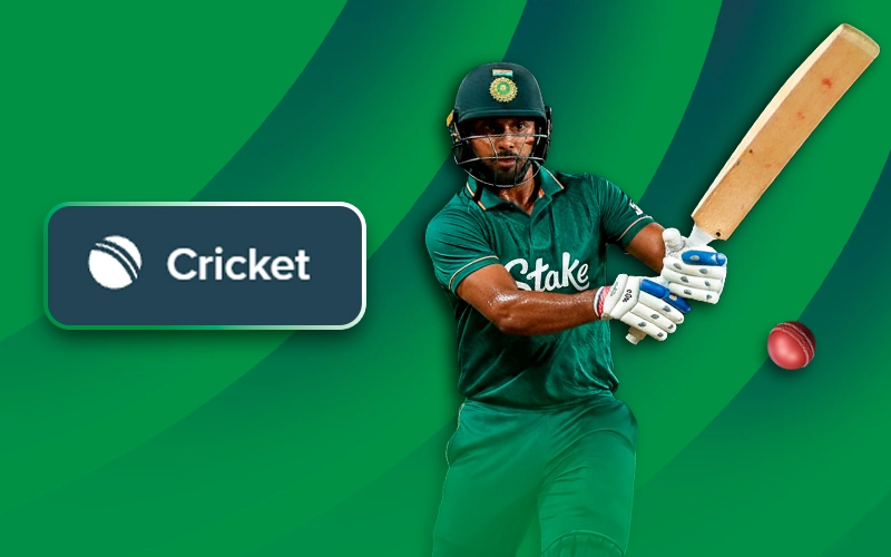 Top-rated cricket betting options on Stake India.