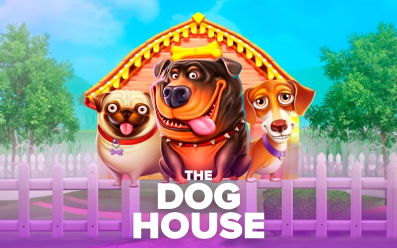 Enjoy The Dog House slot at Stake.